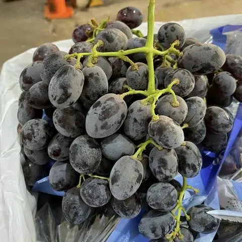 Hình ảnh NHO ĐEN ÚC (1kg) 