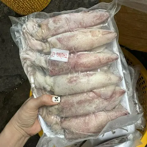 Hình ảnh Mực Trứng Size Trung 12- 15 Con 1kg
