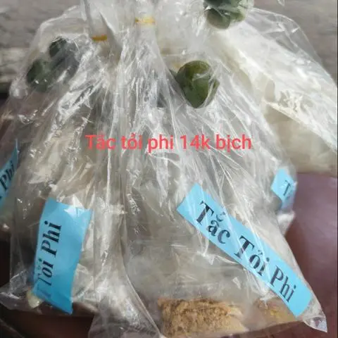 Hình ảnh Bánh tráng tắc tỏi phi