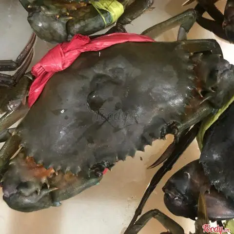 Hình ảnh Cua thịt vừa 