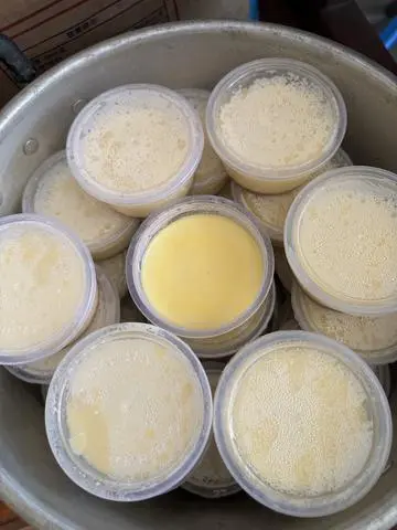Hình ảnh Bánh Flan