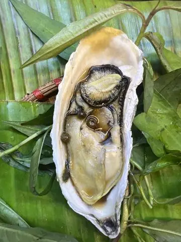 Hình ảnh Hàu nướng tiêu xanh