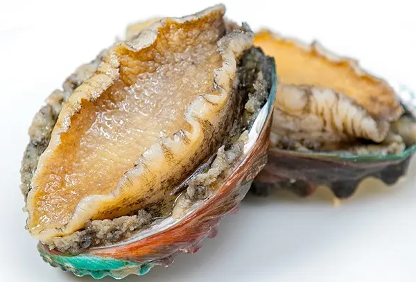 Hình ảnh Bào Ngư 