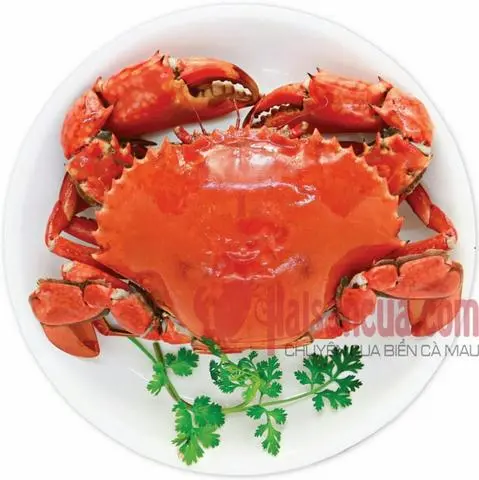 Hình ảnh Cua hấp bia