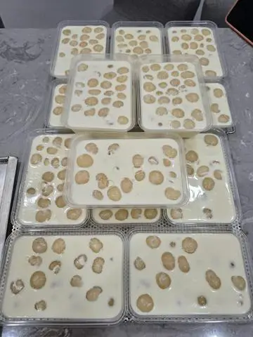 Hình ảnh KHÚC BẠCH NHÃN 