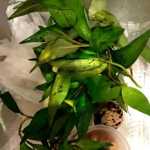 Hình ảnh Bánh tránh chấm 