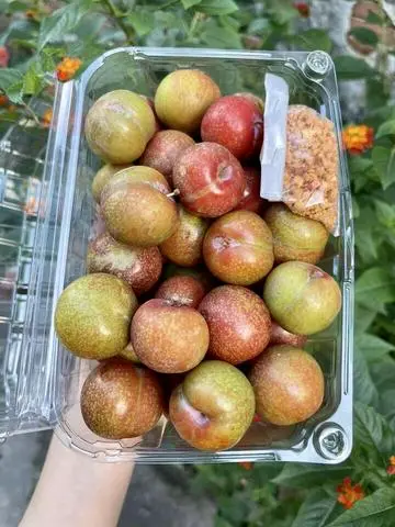 Hình ảnh mận hà nội(1/2kg) 