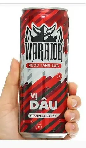 Hình ảnh Warrior 