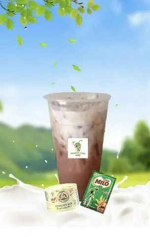 Hình ảnh Milo sữa gấu