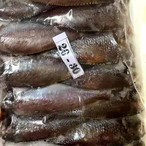 Hình ảnh Khô  lù đù  1 nắng