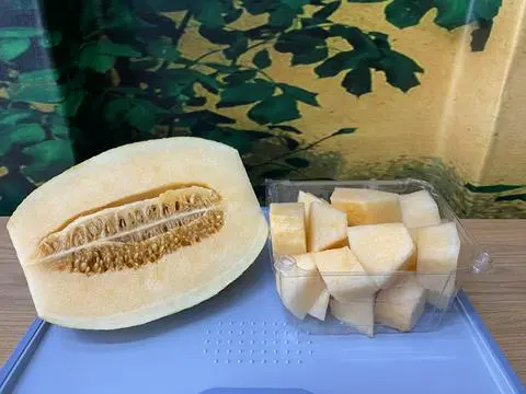 Hình ảnh Dưa lưới