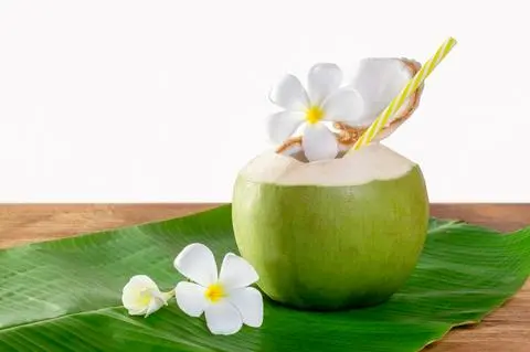 Hình ảnh Dừa Tươi