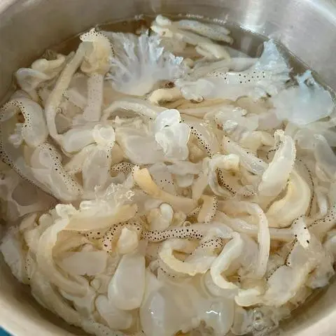 Hình ảnh Sứa Thêm