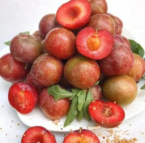 Hình ảnh Mận Hà Nội 300gr