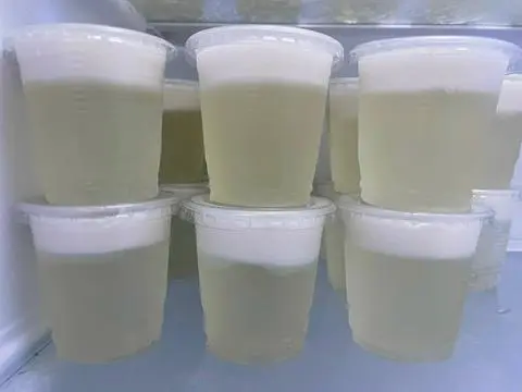 Hình ảnh Rau câu dừa ly - không topping