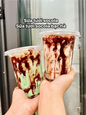 Hình ảnh Sữa Tươi Socola Bạc Hà