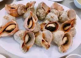 Hình ảnh ốc miệng rộng nướng mọi 