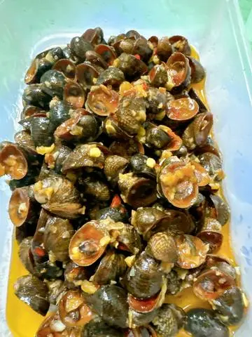 Hình ảnh Ốc Dừa