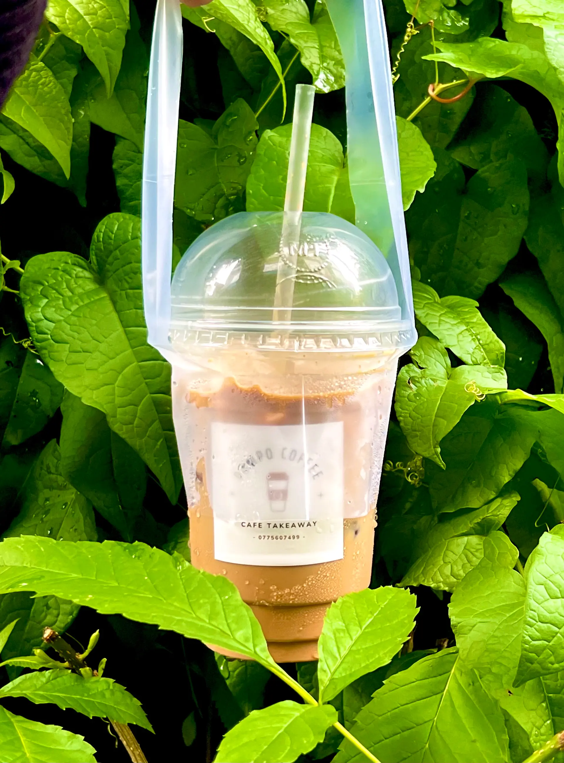Hình ảnh Cafe sữa S