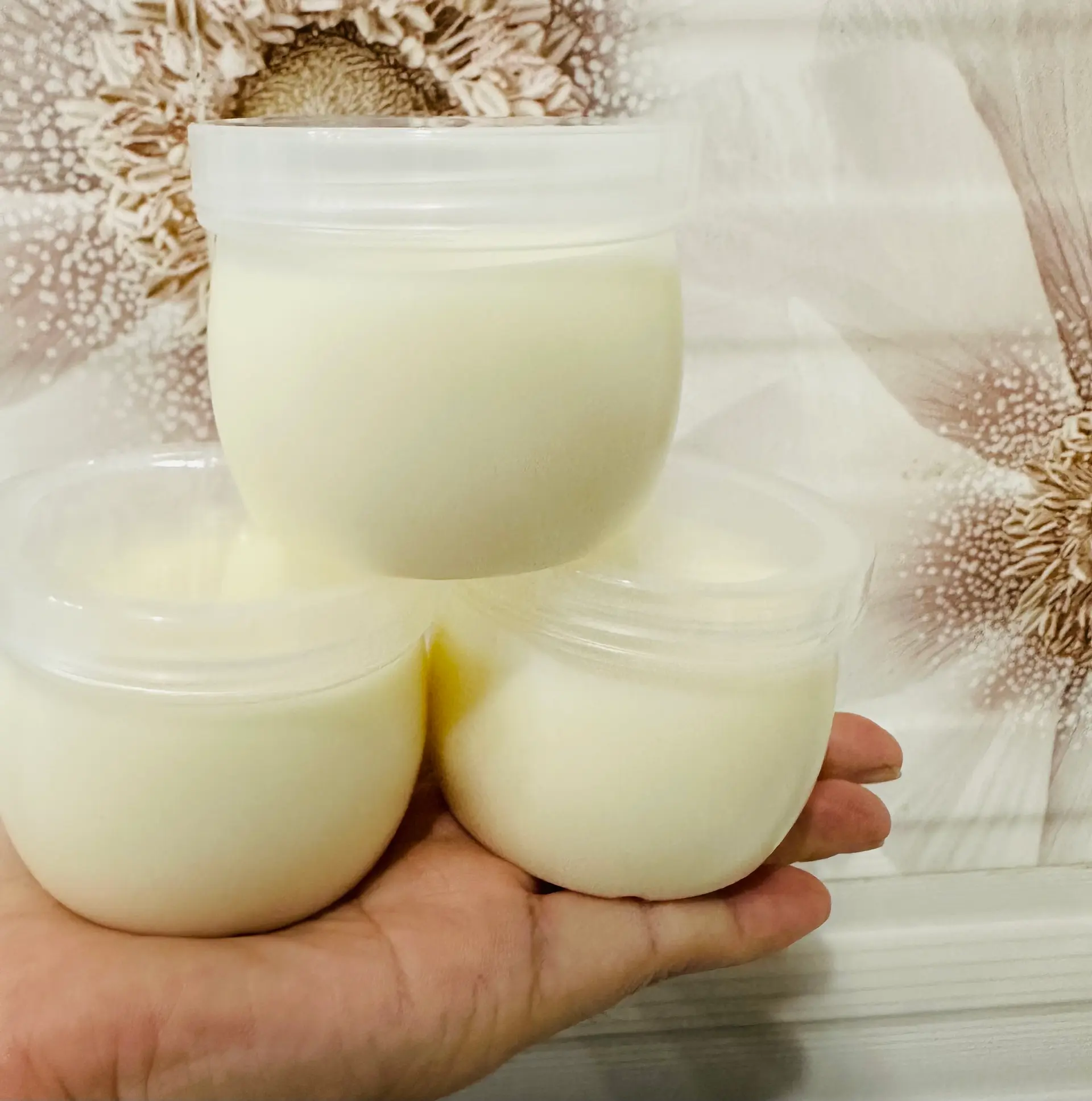 Hình ảnh 10 hũ Sữa chua hủ truyền thống