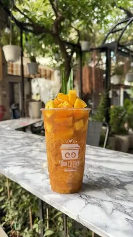 Hình ảnh Trà Xoài Nhiệt đới