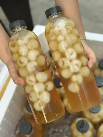 Hình ảnh Trà Long Nhãn Thái Lan 1 Lit
