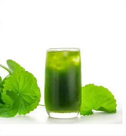 Hình ảnh Rau má nguyên chất
