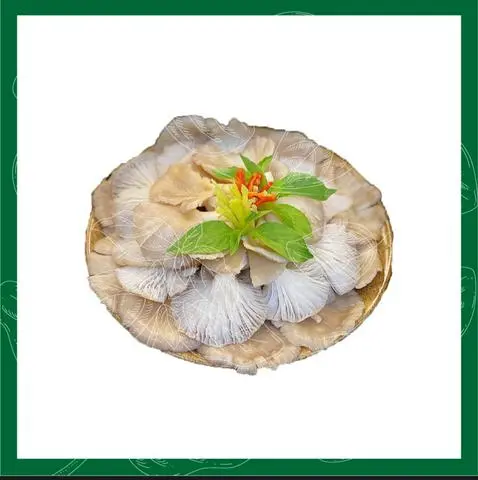 Hình ảnh nấm Thiêm 