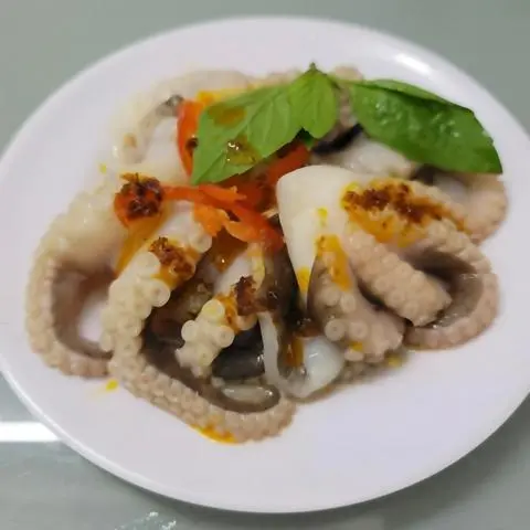 Hình ảnh Bạch Tuột