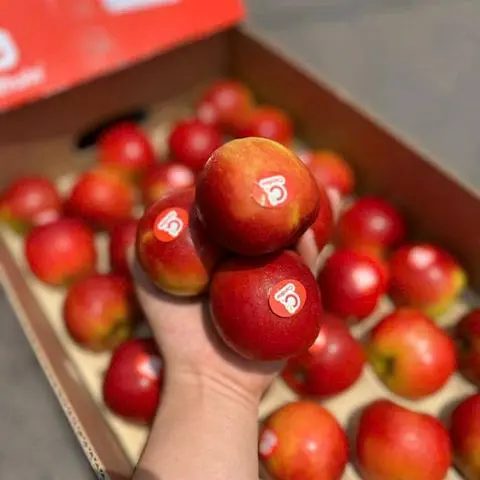 Hình ảnh TÁO KẸO PHÁP