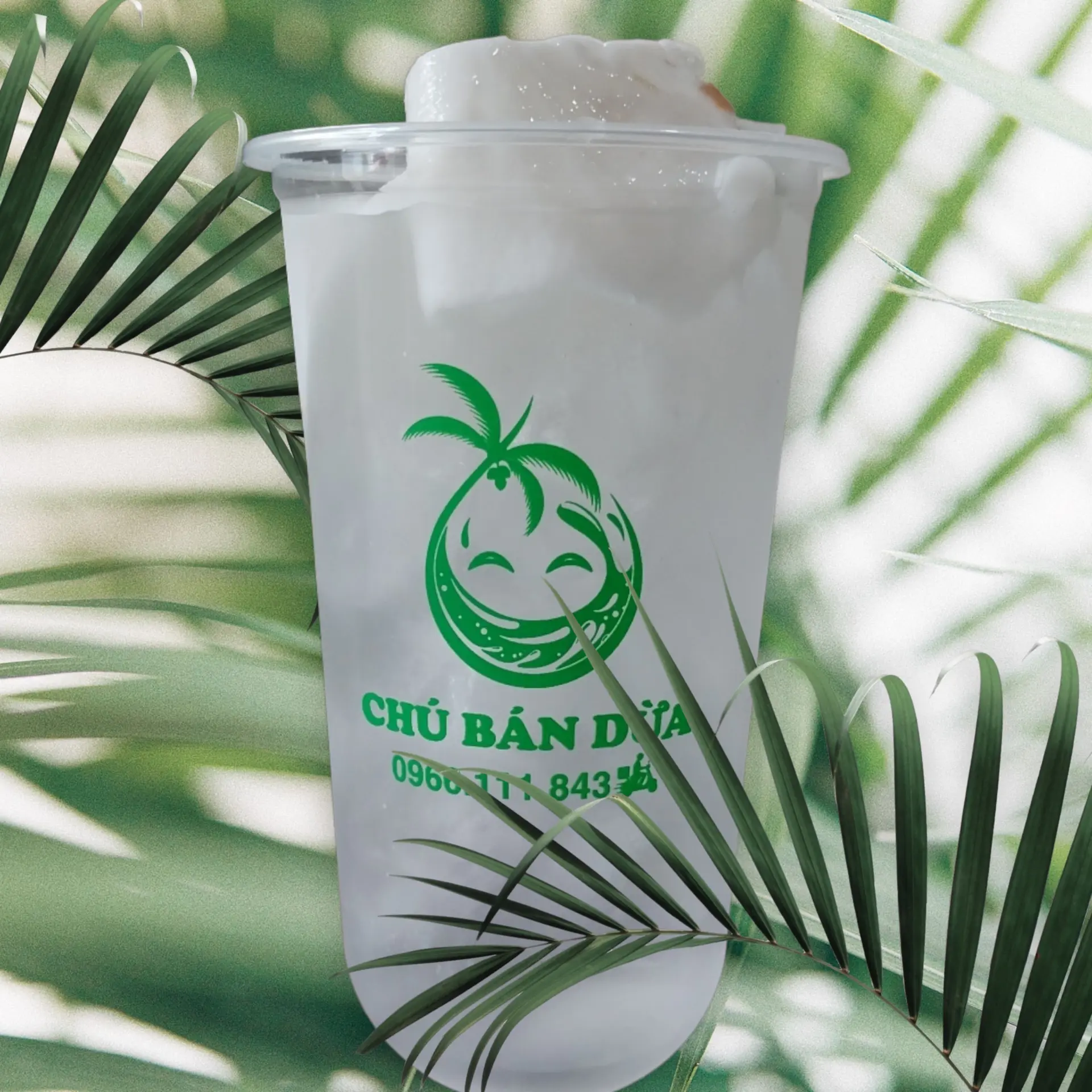 Hình ảnh Nước Dừa Nguyên Chất