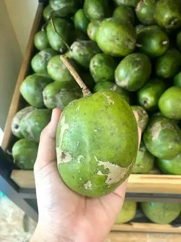 Hình ảnh Cóc  Non 1kg