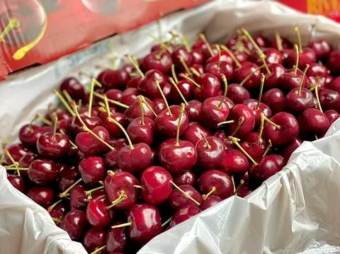 Hình ảnh CHERRY MỸ (1kg ) 