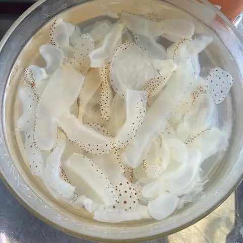 Hình ảnh Sứa thêm
