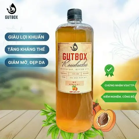 Hình ảnh 1 LÍT KOMBUCHA MƠ