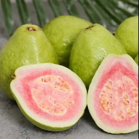 Hình ảnh Ổi hồng