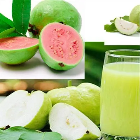 Hình ảnh nước ép ổi