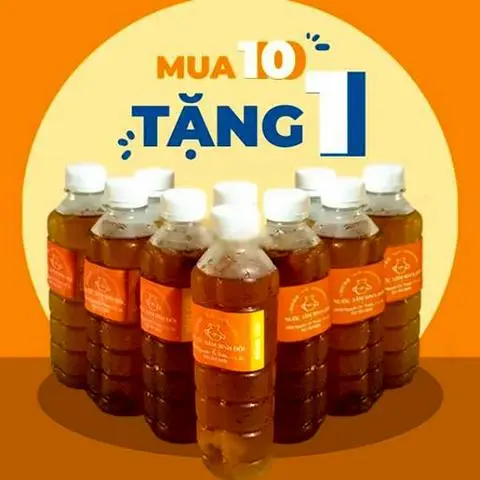 Hình ảnh Combo 10 chai bông cúc