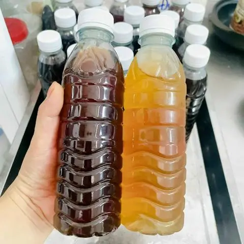 Hình ảnh sâm rong biển