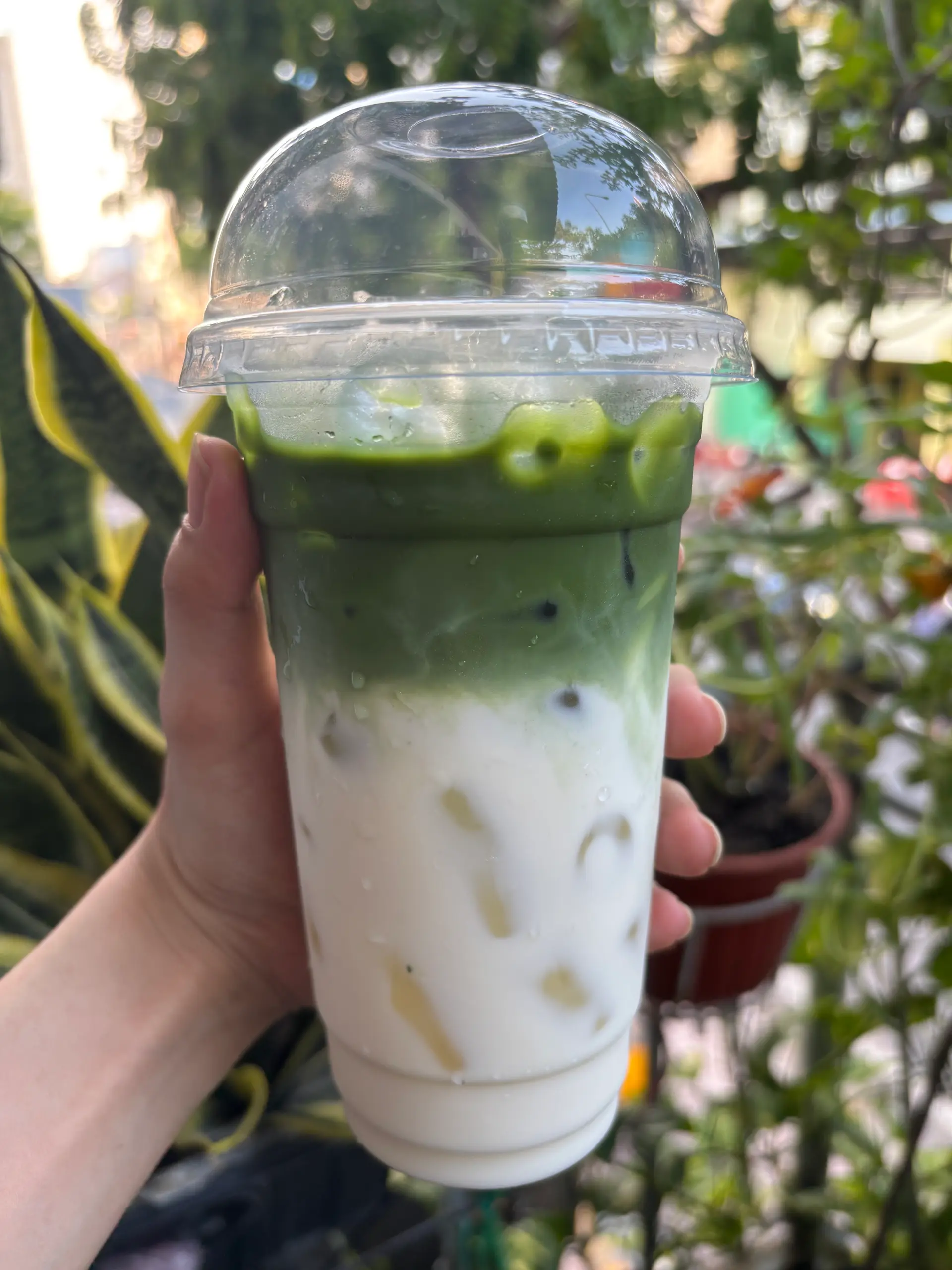 Hình ảnh Matcha Latte