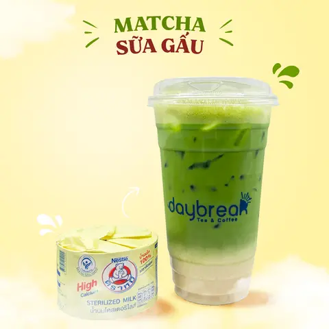 Hình ảnh Matcha Sữa Gấu (Nhật Bản - Size L)