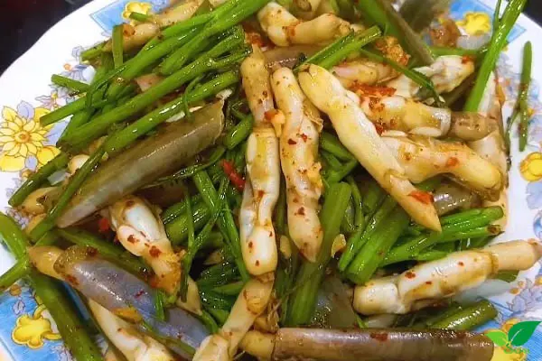 Hình ảnh Ốc Móng Tay Xào Rau Muống