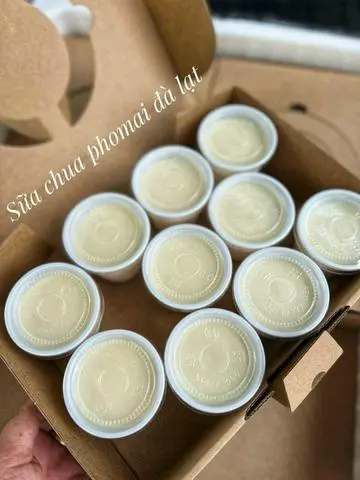 Hình ảnh  Sữa chua phomai Đà Lạt