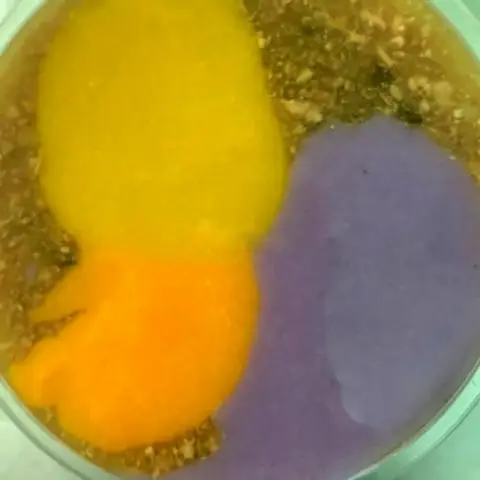 Hình ảnh Cháo thịt bò
