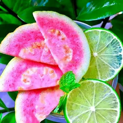 Hình ảnh Trà Ổi Hồng