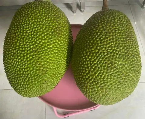 Hình ảnh Mít trái (vàng)/1kg