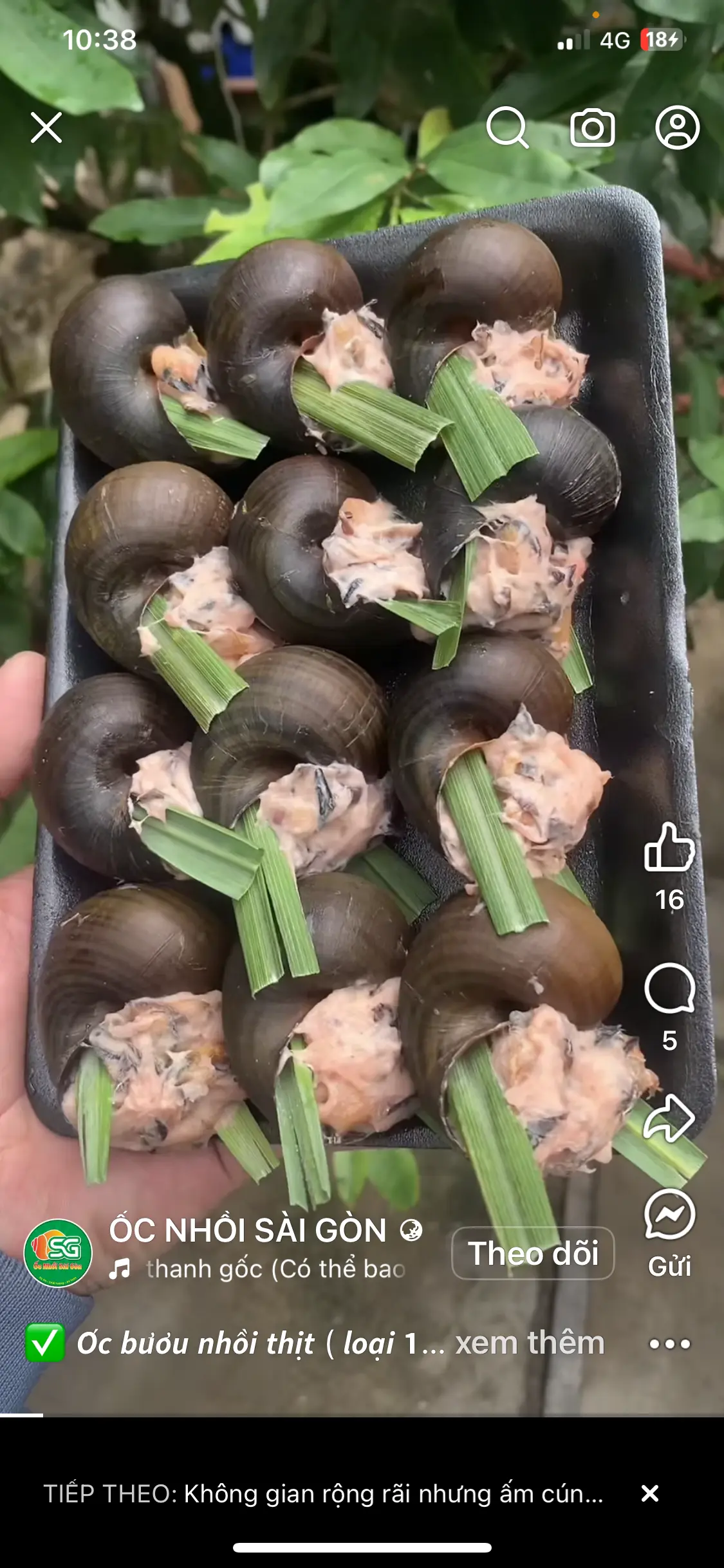 Hình ảnh Ốc Nhồi To 12con 