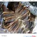 Hình ảnh Khô cá (đuối) nướng - 1 Con