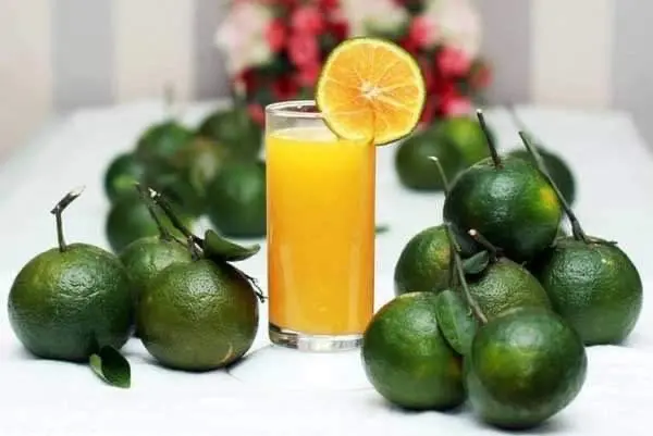 Hình ảnh Cam Vắt