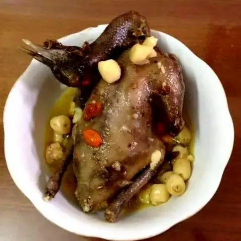 Hình ảnh Bồ câu thêm